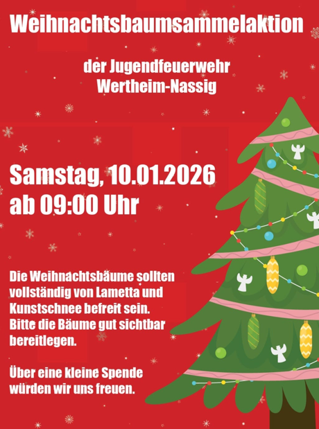 Bild "Infokanal:2025-12-22-Weihnachtsbaum-Sammelaktion.png"